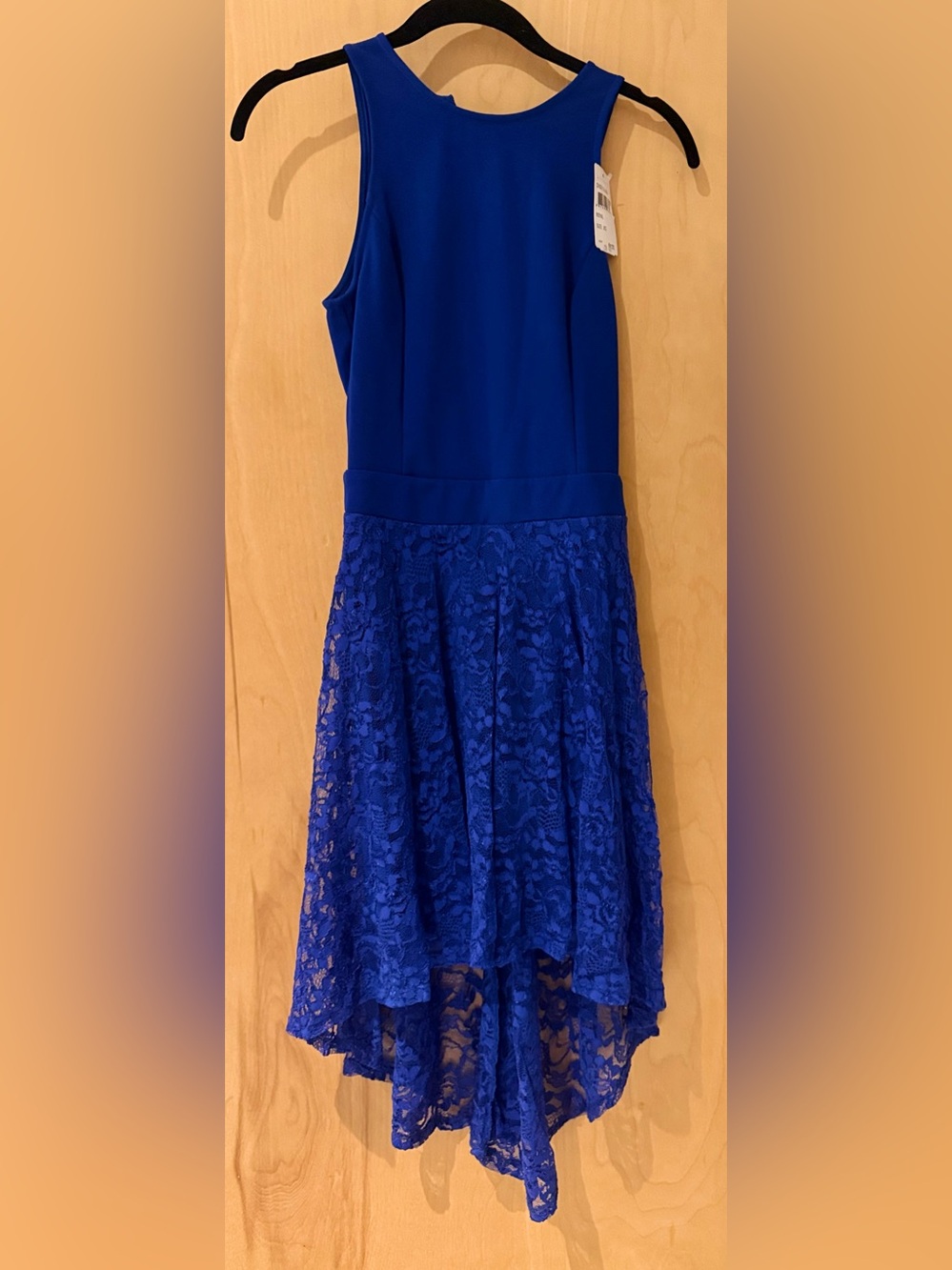 Royal Blue Lace Skater Dress